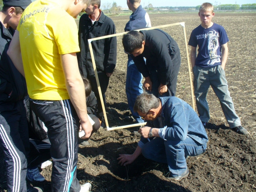 Foto