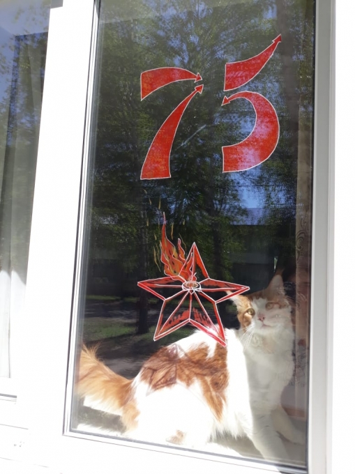 Okno17