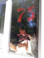 Okno17